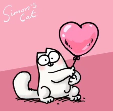 Кот Пушин день рождения