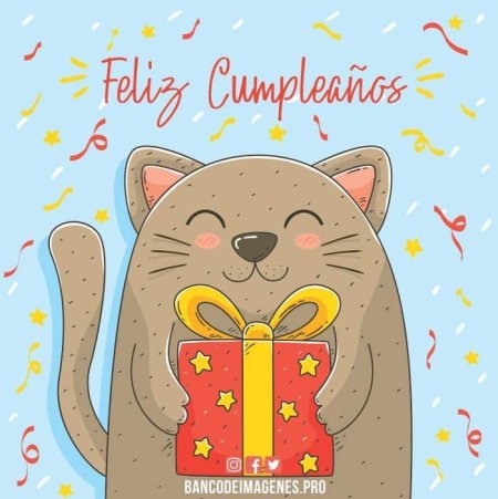 Кот Саймон с днем рождения