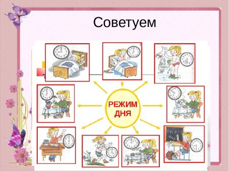 Режим дня схема