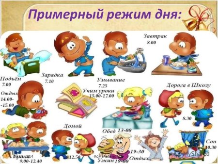Распорядок дня рисунок