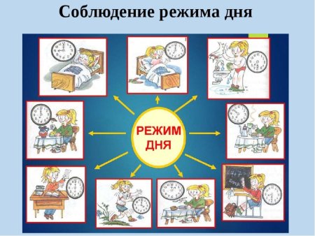 Режим дня