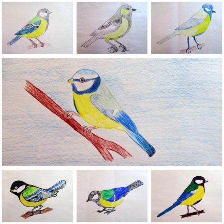 Рисунки к Синичкиному Дню