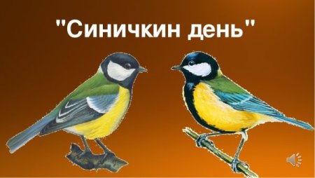 Синичкин день надпись