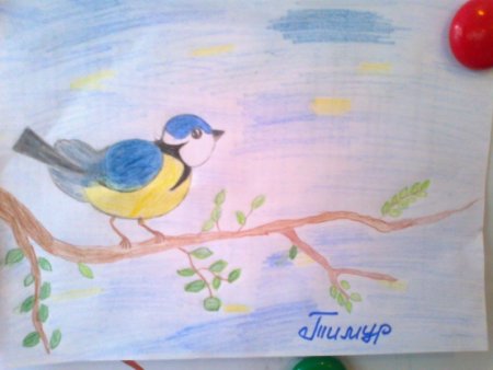 Синичкин день рисунок конкурс