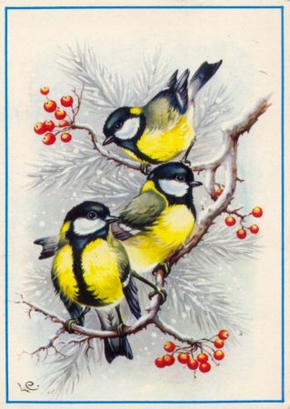 Синица рисунок