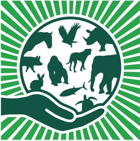 День защиты животных