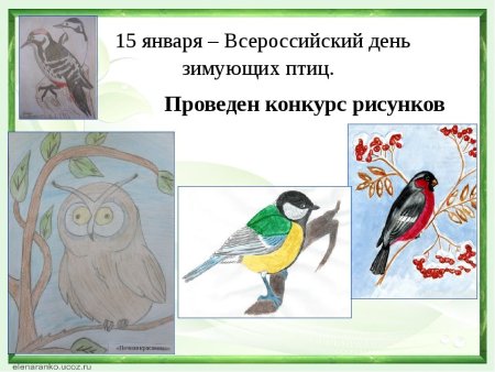 Международный день птиц