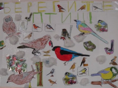 1 Апреля Международный день птиц