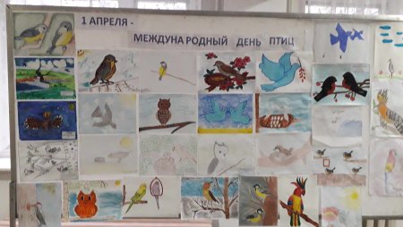 Экологическая акция «Накорми птиц»