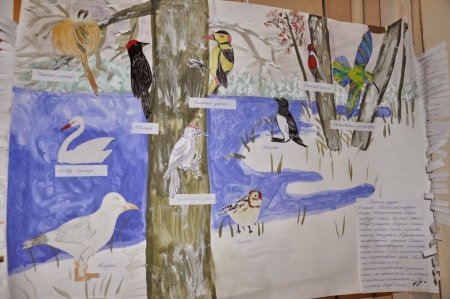 Международный день птиц рисунок