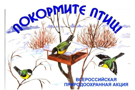 Акция Покорми птиц