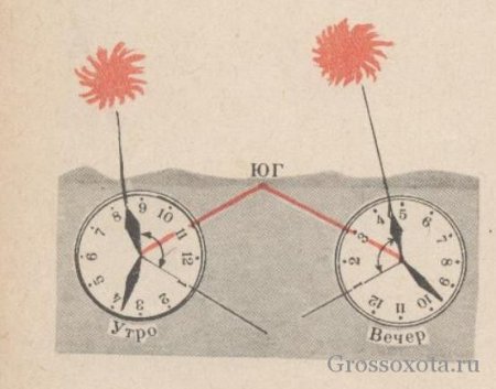Ориентирование по солнцу и часам рисунок