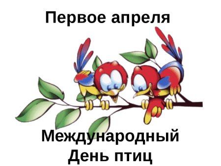 Международный день птиц