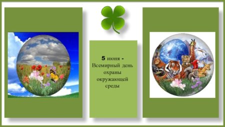 Экологический календарь рисунок