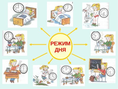 Распорядок дня