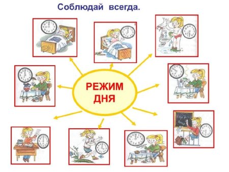 Распорядок дня