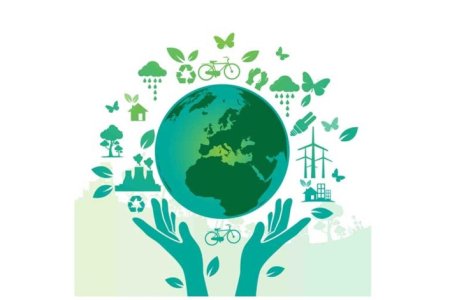 День окружающей среды