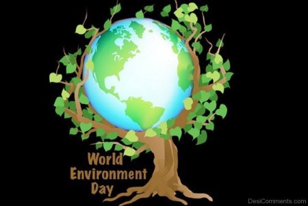 World environment Day