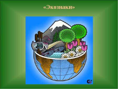 День защиты природы