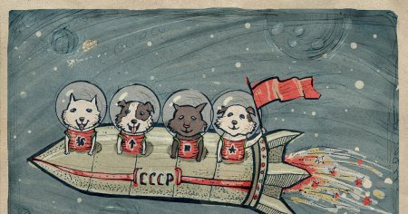 Животные в космосе