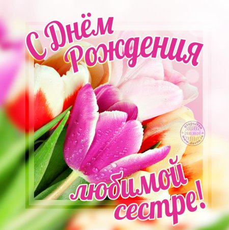 Открытки мишка Тедди с днем рождения