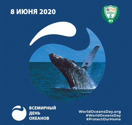Всемирный день океана