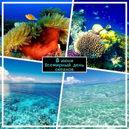 Всемирный день морей и океанов