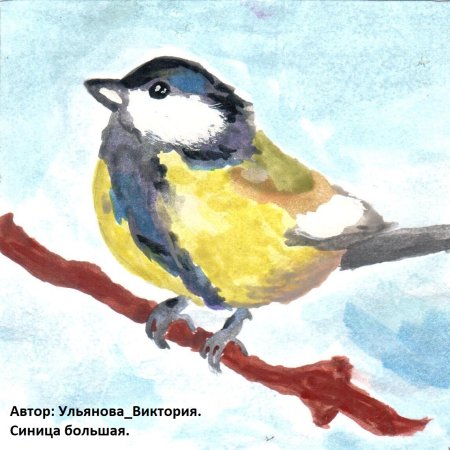 Синица рисунок