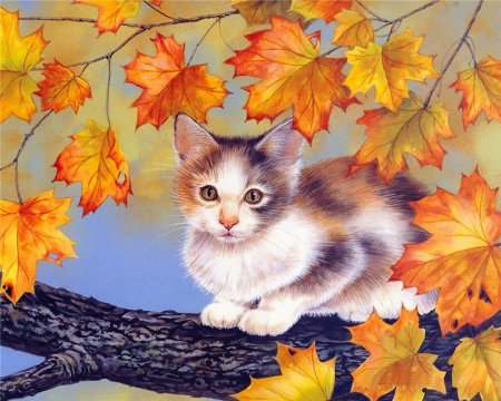 Рисунки на осин