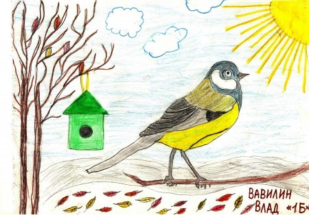 Рисунки к Синичкиному Дню