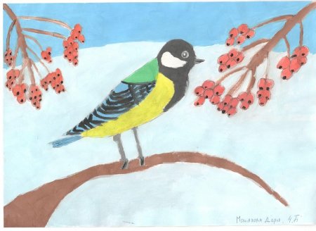 Синичкин день рисунок