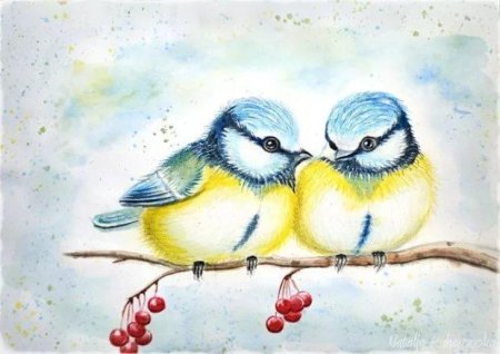 Синичка цветными карандашами