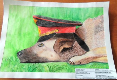 Рисование пограничник с собакой