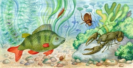 Рисование для детей обитатели водоемов