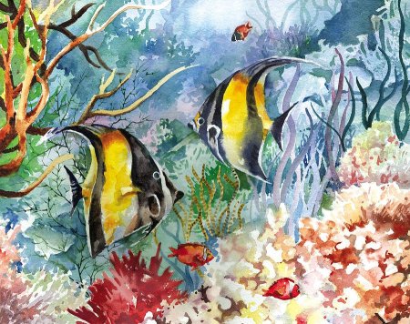 Скалярия акварель