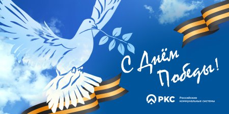 День Победы голуби