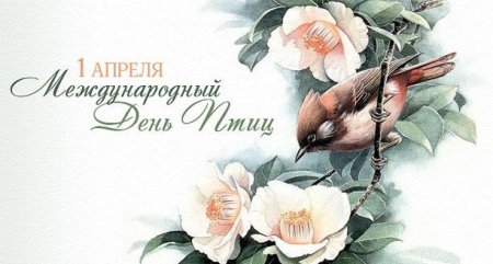 1апреля междунарожный Жень птиц
