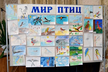 Выставка рисунков день птиц