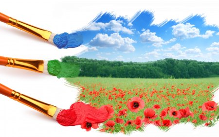 Краски и кисти для рисования