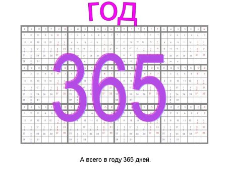 365 Дней в году картинка