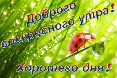Открытки с добрым утром воскресенья