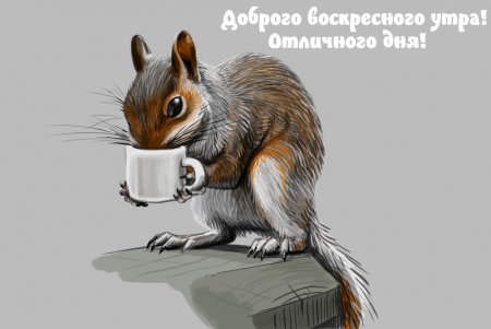 Доброе утро с белками прикольные