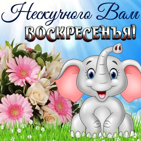 Отличного воскресенья