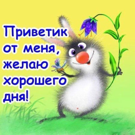 Открытки привет прикольные