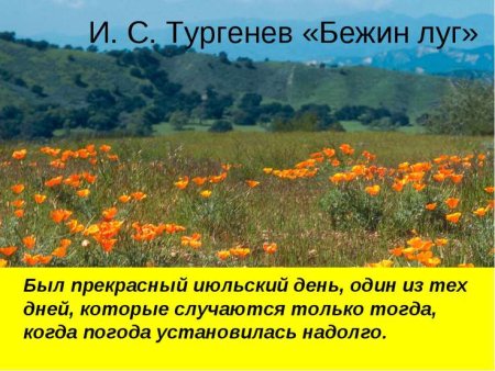 Прекрасного июльского дня