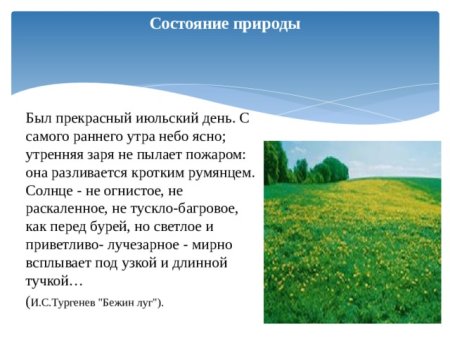 Прекрасный июльский день Бежин луг