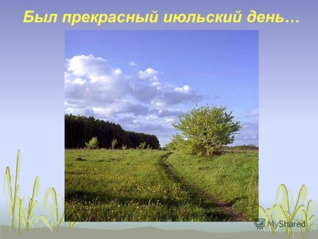 Желтеющая Нива