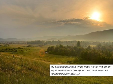 Раннее летнее утро