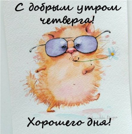 Доброе утро четверга