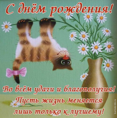 Кот поздравляет
